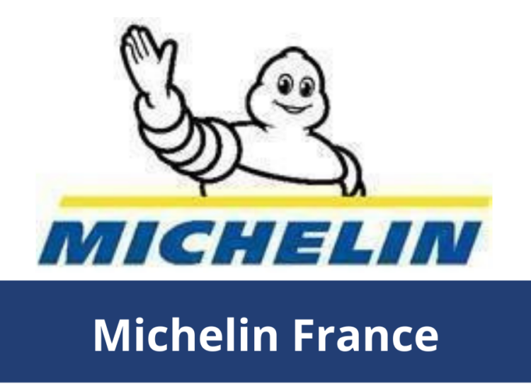 michelin france logo