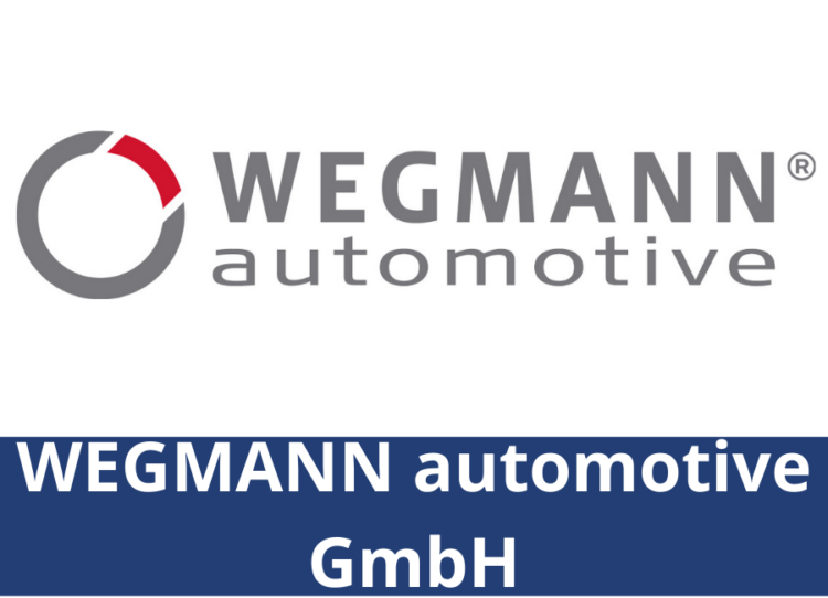 wegmann automotiv gmbh logo